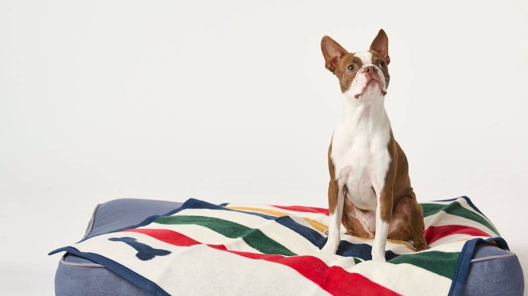 Casco Bone Mini Blanket: Mini